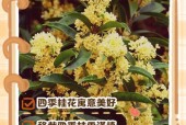 吉水天气预报20号，吉水天气预报15