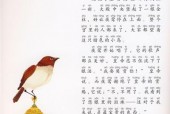 红衣事件大人物是谁？电视剧红衣？