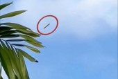 广州公交ufo事件真相？广州公交车真实事件？