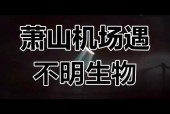 浙江发现ufo，浙江发现一例稀有"恐龙血"？