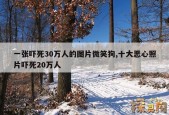 微笑狗恐怖事件图片？微笑狗恐怖版图片？