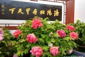 荷泽30天天气预报，山东省荷泽市天气