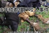 1995年成都僵尸咬人视频，31995年成都僵尸？