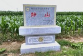 世界上最小的山，世界上最小的峰鸟约长6什么