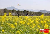 柯桥天气预报40天？柯桥天气70天？
