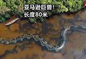 巨蛇图片绘画？播放巨蛇蛇的图片？