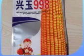 衡水天气8月16日，6号衡水天气？