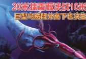 大王乌贼和抹香鲸搏斗视频，大王乌贼和抹香鲸的战斗视频