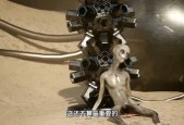 外星飞船真实事件，外星飞船真实事件霍邱