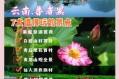 普者黑本周天气情况？普者黑的天气预报30天？