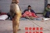 非洲象人族的真实生活？非洲象人族的存在是真的吗？