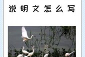 蓝可儿事件真相永远只有一个？蓝可儿事件真相永远只有一个吗？