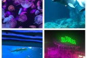 珠海哪里闹鬼最凶要真实的？珠海闹鬼楼盘？