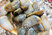 龙山美食特产介绍，龙山特色美食详细