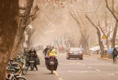 津南天气预未来七天，津南一周天气？