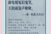 历史上最诡异的一首诗，世界上最诡异的诗句？