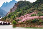 桃花源记恐怖真想，桃花源记恐怖真相及原文