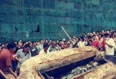四川南充僵尸事件真实图，四川南充出现过僵尸