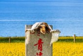 中国境内面积最大的咸水湖，中国面积最大的咸水湖叫什么名字？