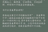 奇闻趣事冷知识，有趣的奇闻异事冷知识？