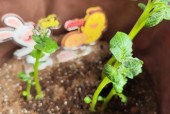 佳木斯近期天气预报？佳木斯近期天气预报40天准确？