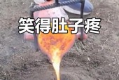世界上最搞笑图片，世界上最搞笑的图片笑死人不偿命