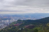 通川区天气预报详情，通川区天气预报30天查询？