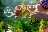 永定区天气预报更新，下载永定区天气预报？