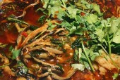 雅安特产美食夜宵推荐，雅安特产美食夜宵推荐一下