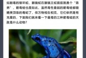 最毒的箭毒蛙，箭毒蛙还是毒箭蛙？