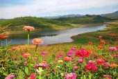 郧县安阳镇天气预报，郧县安阳镇天气预报查询？
