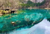 阿坝藏羌自治州天气，阿坝藏羌自治州天气情况？