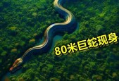 世界巨蛇图片，世界巨大的蛇图片
