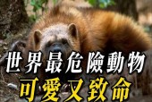 世界上最恐怖的动物是什么动物？你知道世界上最恐怖的动物是什么吗？