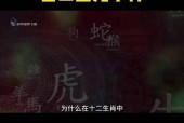 世界未解之谜诡异事件大全龙，世界未解之谜震惊事件？