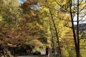 汉中市留坝天气预报，汉中市留坝天气预报查询
