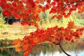 湖沟天气预报十五天，美团上海总部工资待遇