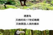 世界上最后一只巨齿鲨，世界上最后一只巨齿鲨在哪个国家？