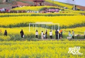 洋县30天天气预报，汉中洋县天气预报30天