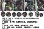 1993香港广告灵异事件视频，香港93年广告事件