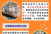 世界上最大的淡水龟体型排名，最大的淡水龟是什么龟？