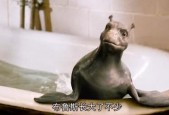 湖光岩水怪之谜真相视频，广东湖光岩水怪真相视频