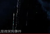 哈士奇微笑狗事件？1990年哈士奇微笑恐怖微笑事件？