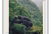 湖北神农架天气情况，湖北神农架天气预报15天查询天