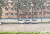 衡水市枣强天气预报？枣强县天气预？