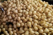 罗定美食特产简介，罗定美食特产简介作文？