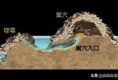 uso事件视频，ulb事件