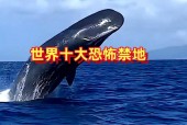世界前十禁地有鬼吗，世界上10大禁地视频？