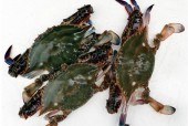 莱州美食特产推荐？莱州美食特产推荐图片？