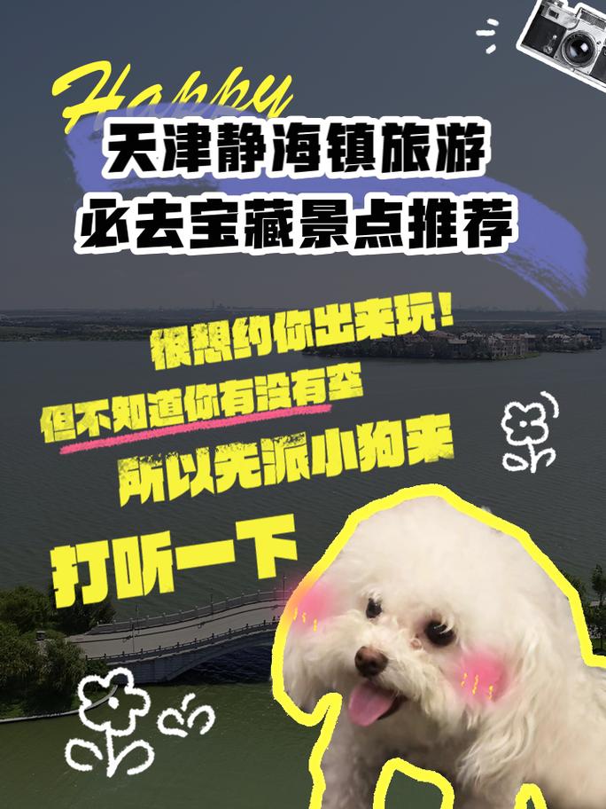 静海60天天气预报，静海60天天气预报查询？  第5张